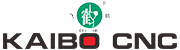 快盈VIII